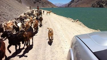 ¿Se abre o no el paso de Agua Negra el 4 de enero?