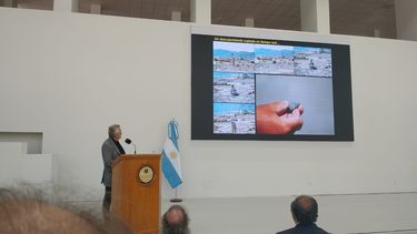 En imágenes: lo que dejó la presentación en sociedad del hallazgo de Taytalura alcoberi