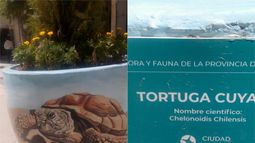 El arte invade la peatonal con la flora y fauna sanjuanina