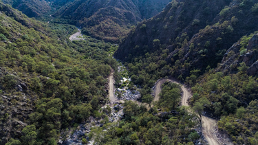El paisaje que rodea el nuevo y sinuoso camino a Sierras de Riveros, en Valle Fértil, es completamente verde.