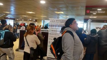 ¿Necesitás hacer trámites en el IPV? mirá cómo pedir turno