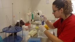 Una buena para los celíacos: ahora se podrán analizar los alimentos en San Juan