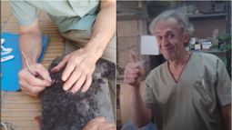 Salvar vidas a la luz del sol: el conmovedor gesto de un reconocido veterinario sanjuanino
