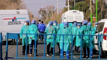 Coronavirus en San Juan: mirá cuántos casos se registraron este sábado