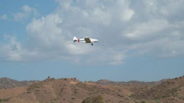 Aplicación química para combatir la mosca de los frutos