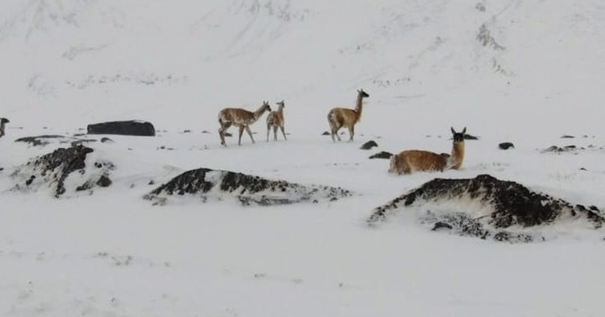 Pese al temporal en alta monta&ntilde;a, la nieve sigue escasa en San Juan