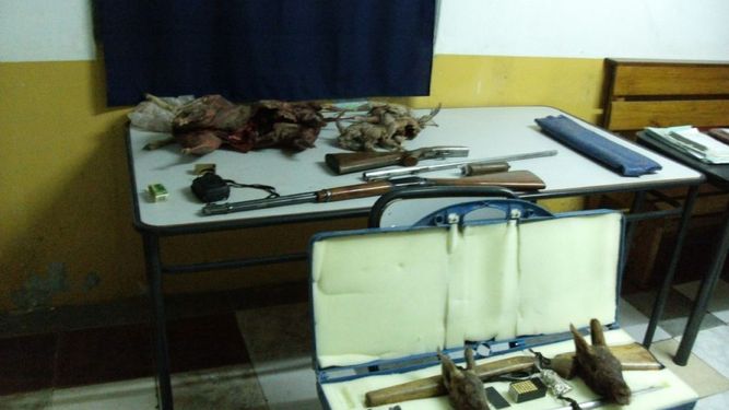 Decomisaron liebres y perdices en operativos de fauna
