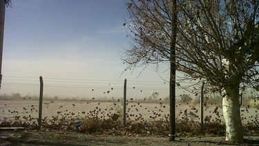 Miércoles con presencia de viento Norte