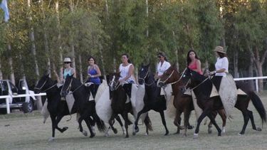 Fin de semana, con un clásico que crece: los caballos peruanos