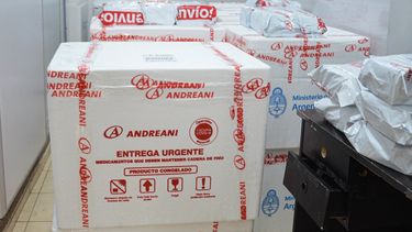 Una ola de vacunas: San Juan recibió 8.400 dosis del primer componente de Sputnik V