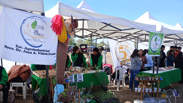 Hay futuro en la agroindustria local: conocé 4 proyectos de vanguardia creados por alumnos sanjuaninos