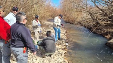 Los monitoreos medioambientales recolectan información más que importante.