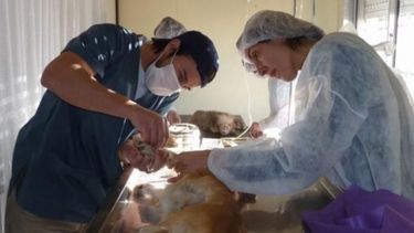 Por la gran demanda, el Quirófano Móvil se queda una semana más