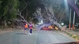 Las impresionantes fotos de los daños que causó el viento Zonda en San Juan Las impresionantes fotos de los daños que causó el viento Zonda en San Juan
