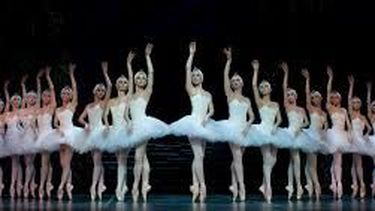 Ya están en venta las entradas para “El lago de los Cisnes”