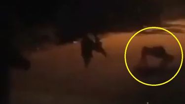 Video: dicen que apareció una extraña criatura en 25 de Mayo, pero vecinos lo desmintieron