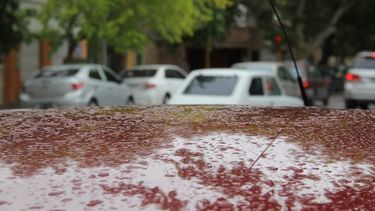 Se largó la lluvia y sorprendió en el mediodía sanjuanino