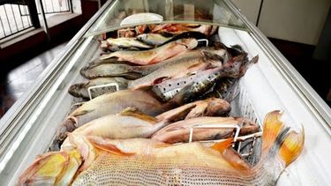 Se viene la Pascua, y Salud Pública controlará la calidad del pescado que se venda