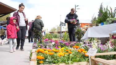 Gran éxito de la Feria Agroproductiva en el Parque de Mayo: relax, buenos precios y productos de primera