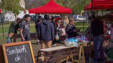 Vuelve el camión de frutas y verduras a San Juan: días, horarios y lugar