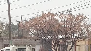 Rivadavia asistió a familias afectadas por el temporal de Santa Rosa