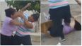 Video: tremenda pelea en el barrio Sierras de Marquesado, con trompadas, patadas y tirones de pelo Video: tremenda pelea en el barrio Sierras de Marquesado, con trompadas, patadas y tirones de pelo