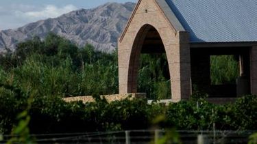 Combis gratuitas para que te sumes al recorrido en las bodegas