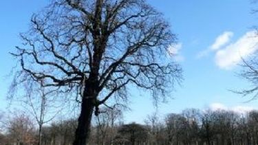 Diciembre arranca con pocas nubes y una máxima de 33º
