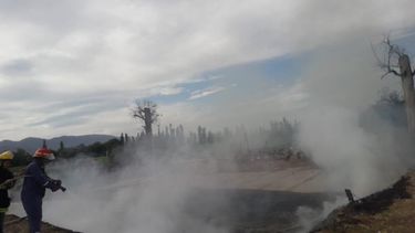 Dos incendios dejaron decenas de parrales y un depósito de ajos en la nada
