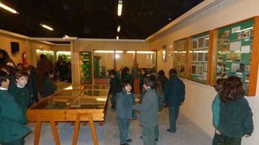 Nuevo horario de atención del Museo Arqueológico Gambier