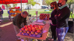 Si vivís en Caucete, mirá dónde estará el camión de frutas y verduras