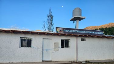 Cómo es el primer hogar de tránsito municipal para perritos callejeros de San Juan