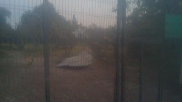 Caídas de ramas, cortes de luz y hasta incendios fueron el saldo del fuerte viento