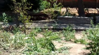 El misterio de los féretros y el “olor a muerto” en una casa de Trinidad