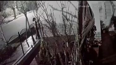 Video: la broma de un grupo de adolescentes que perjudicó gravemente a una mujer enferma