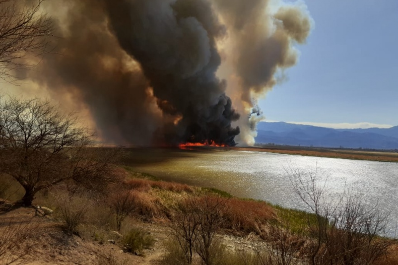 El fuego, en la zona del Dique Los Cauquenes, en Jáchal. Foto: Actualidad Jachallera.