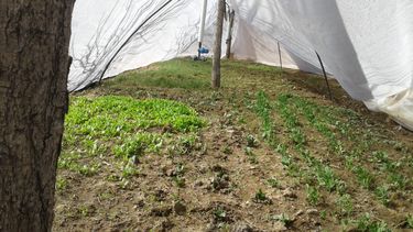 Una alternativa a la crisis hídrica: riego móvil