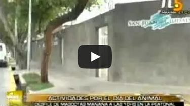 Desfile de mascotas este miércoles en el cruce de las Peatonales