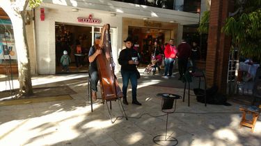 Escuchá al arpista misionero que tiene enamorada a la peatonal