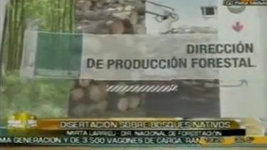 Disertaron sobre bosques nativos