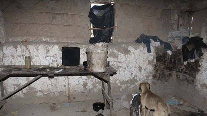 Toro, sobre los niños enfermos de sarna: Hay 3000 familias en San Juan que quieren chicos