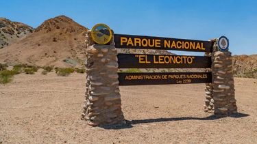 Un árbol cayó encima del tendido eléctrico y provocó un incendio en el Parque El Leoncito Un árbol cayó encima del tendido eléctrico y provocó un incendio en el Parque El Leoncito