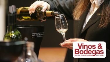 San Juan lleva sus productos a la Feria de “Vinos y Bodegas 2012”