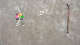 El bastón que se exhibe en una pared de Rivadavia y su conmovedora historia