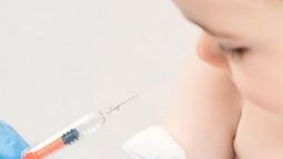 Así será el cronograma de vacunación en Angaco