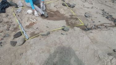 Rescatando la historia sanjuanina: piden denunciar hallazgos arqueológicos