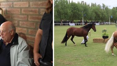 Comenzó otra edición del tradicional Concurso de Caballos Peruanos de Paso