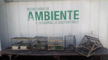 Otra vez los cazadores sanjuaninos: rescataron aves autóctonas