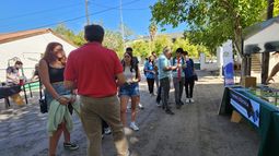 Las 5 carreras terciarias con mayor salida laboral para 2028, según la inteligencia artificial