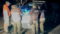 Las características de la caza en San Juan, con las aves como la especie más afectada.